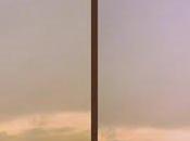 Nineteen months love