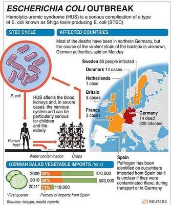 CETRIOLI MORTALI IN EU: PURE QUESTA?