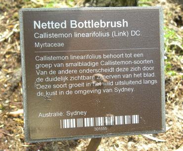 Amsterdam. Orto botanico/1