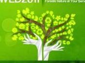 giugno: Giornata Mondiale dell’Ambiente