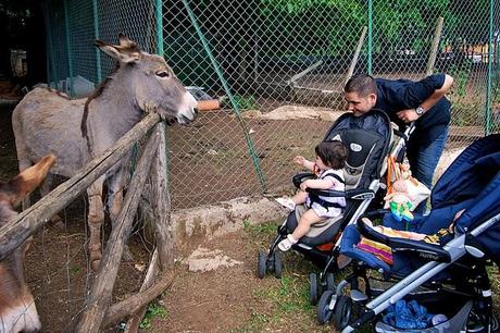 Un giorno in campagna