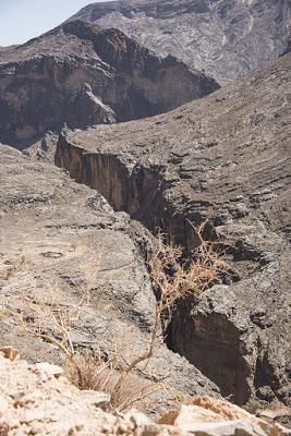 Oman 35 - La traversata dell'Akhdar Oman 35 - La traversata dell'Akhdar