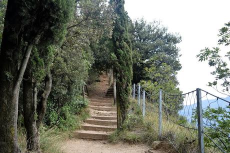 forti monte brione forti monte brione