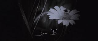 Resoconti VIS 2018 | Archivio Cortometraggi Resoconti VIS 2018 | Archivio Cortometraggi