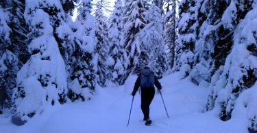 Ciaspole, Telemark e Scialpinismo in Val Bregaglia ed Engadina Ciaspole, Telemark e Scialpinismo in Val Bregaglia ed Engadina