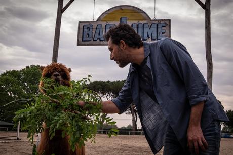 I Delitti del BarLume, stasera su Sky Cinema «Hasta pronto Viviani!» I Delitti del BarLume, stasera su Sky Cinema «Hasta pronto Viviani!»