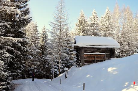 ciaspole tirolo kartitsch osttirol ciaspole tirolo kartitsch osttirol