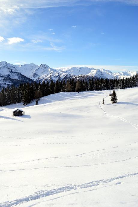 ciaspole tirolo kartitsch osttirol ciaspole tirolo kartitsch osttirol