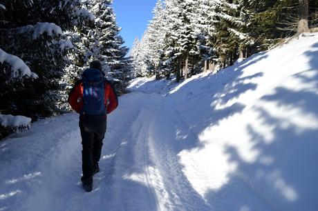 ciaspole tirolo kartitsch osttirol ciaspole tirolo kartitsch osttirol