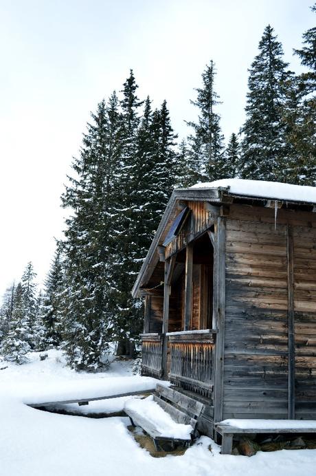 ciaspole tirolo kartitsch osttirol ciaspole tirolo kartitsch osttirol