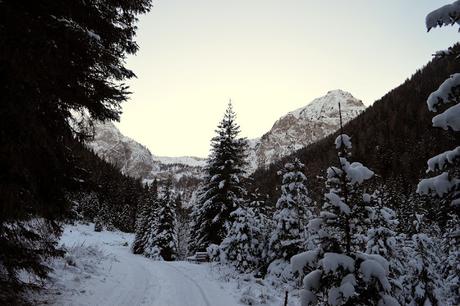 ciaspole tirolo kartitsch osttirol ciaspole tirolo kartitsch osttirol