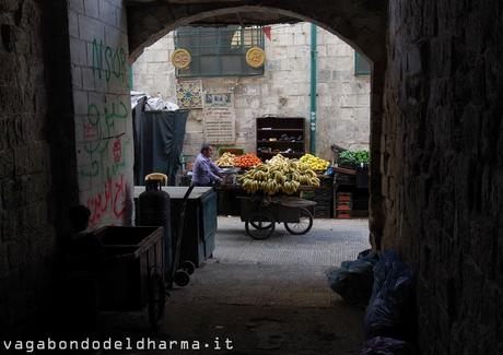 palestina palestina