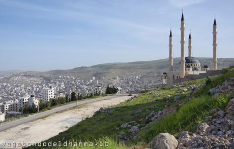 palestina palestina