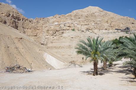 palestina palestina