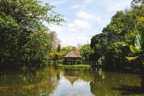 Una settimana a Mauritius: benvenuto in Paradiso Una settimana a Mauritius: benvenuto in Paradiso