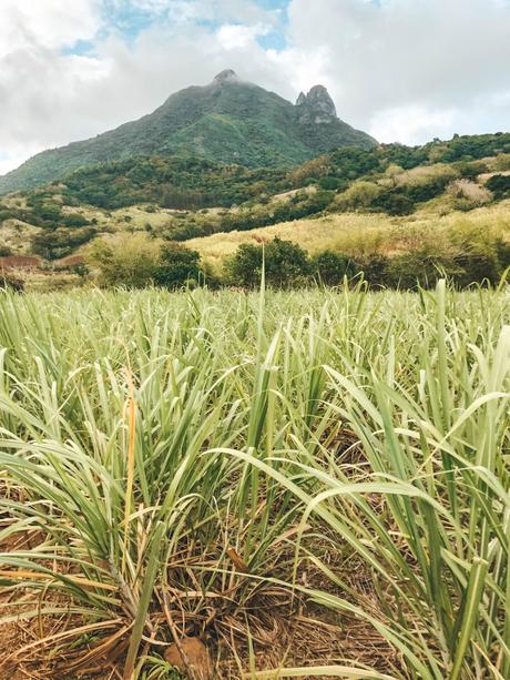 Una settimana a Mauritius: benvenuto in Paradiso Una settimana a Mauritius: benvenuto in Paradiso