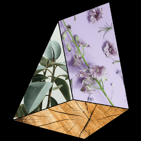 Alla scoperta-DEL PROFUMATO E COLORATO MONDO TUTTO GREEN ECOSOSTENIBILE ED ECOCOMPATIBILE DI-Purobio Home Alla scoperta-DEL PROFUMATO E COLORATO MONDO TUTTO GREEN ECOSOSTENIBILE ED ECOCOMPATIBILE DI-Purobio Home