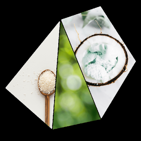 Alla scoperta-DEL PROFUMATO E COLORATO MONDO TUTTO GREEN ECOSOSTENIBILE ED ECOCOMPATIBILE DI-Purobio Home Alla scoperta-DEL PROFUMATO E COLORATO MONDO TUTTO GREEN ECOSOSTENIBILE ED ECOCOMPATIBILE DI-Purobio Home