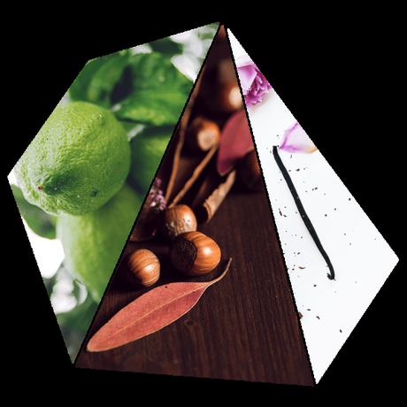 Alla scoperta-DEL PROFUMATO E COLORATO MONDO TUTTO GREEN ECOSOSTENIBILE ED ECOCOMPATIBILE DI-Purobio Home Alla scoperta-DEL PROFUMATO E COLORATO MONDO TUTTO GREEN ECOSOSTENIBILE ED ECOCOMPATIBILE DI-Purobio Home