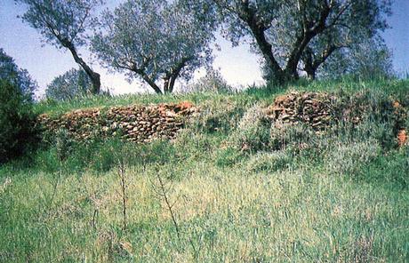 tracce dei templari in portogallo I castelli templari in Portogallo, un itinerario dal nord al sud del Paese