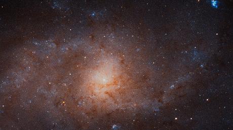 La Galassia Triangolo in posa per Hubble La Galassia Triangolo in posa per Hubble