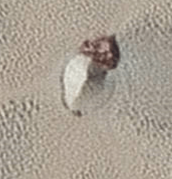 Scoperto un disegno di Alieno e una Piramide su una foto della Nasa di Nettuno ? Scoperto un disegno di Alieno e una Piramide su una foto della Nasa di Nettuno ?