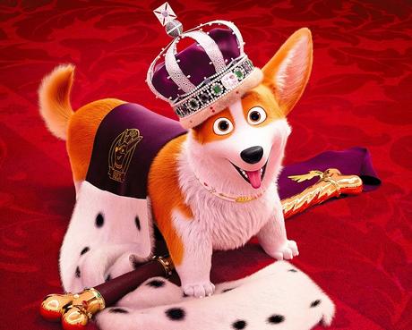 Rex un cucciolo a palazzo: un cartone sul bullismo Rex un cucciolo a palazzo: un cartone sul bullismo