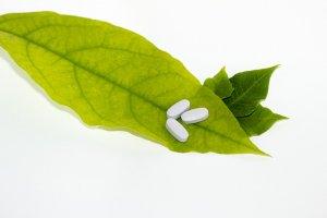 Omeopatia. Inaccettabile l’accusa di fare fatturato sulla pelle dei pazienti omeopatia