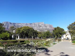 Sudafrica: Cape Town e la Penisola del Capo Sudafrica: Cape Town e la Penisola del Capo