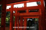 Kyoto mon amour Kyoto mon amour