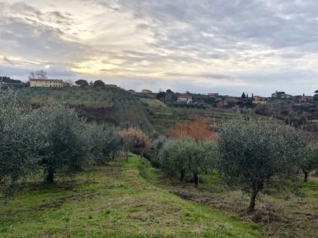 Cose da fare in Valdera: una sorprendente vacanza in Toscana! Cose da fare in Valdera: una sorprendente vacanza in Toscana!