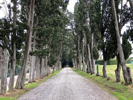 Cose da fare in Valdera: una sorprendente vacanza in Toscana! Cose da fare in Valdera: una sorprendente vacanza in Toscana!