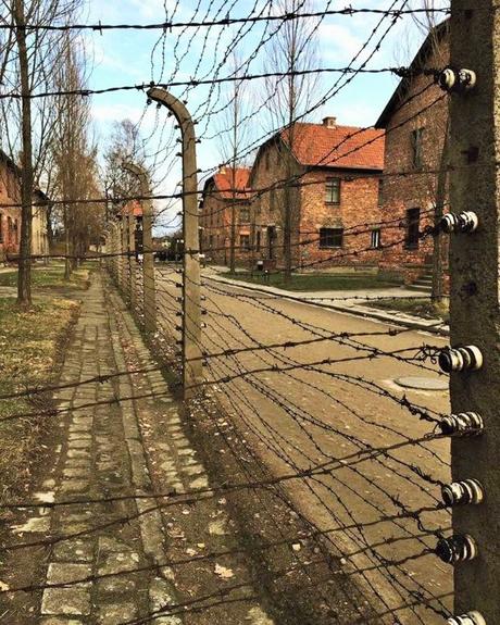 Auschwitz-Birkenau: un viaggio nel passato con gli occhi del presente Auschwitz-Birkenau: un viaggio nel passato con gli occhi del presente