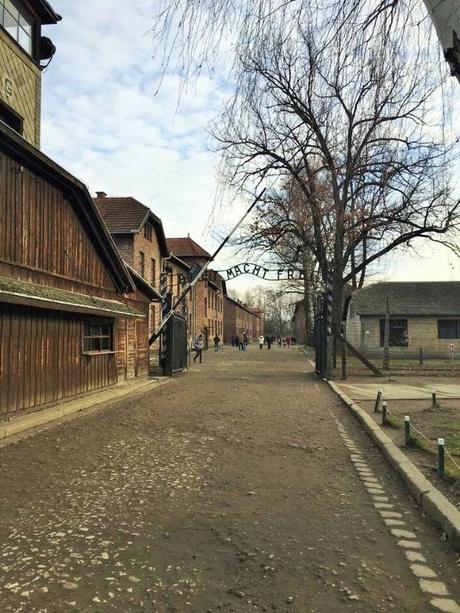 Auschwitz-Birkenau: un viaggio nel passato con gli occhi del presente Auschwitz-Birkenau: un viaggio nel passato con gli occhi del presente