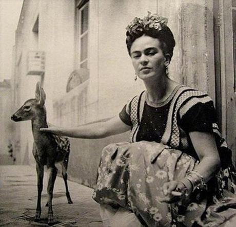 Tu la conosci Frida? Tu la conosci Frida?