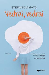 Recensione : Vedrai,vedrai di Amato Stefano Recensione : Vedrai,vedrai di Amato Stefano