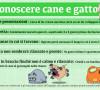 Infografica: come far conoscere cane e gatto Infografica: come far conoscere cane e gatto
