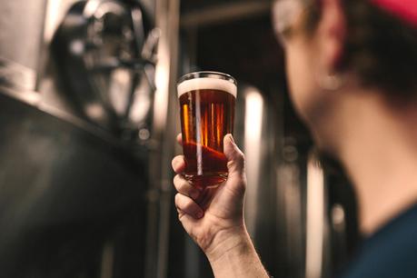 Nelle Marche arrivano le strade della birra Nelle Marche arrivano le strade della birra