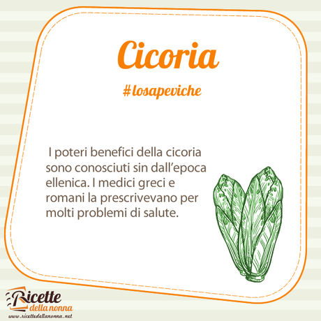 Cicoria: proprietà, benefici e controindicazioni Cicoria curiosità