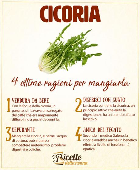 Cicoria: proprietà, benefici e controindicazioni Cicoria benefici