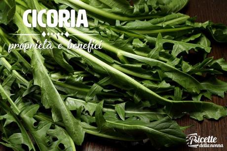 Cicoria: proprietà, benefici e controindicazioni Cicoria