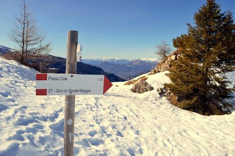 ciaspole monte maggio passo coe alpe cimbra ciaspole monte maggio passo coe alpe cimbra