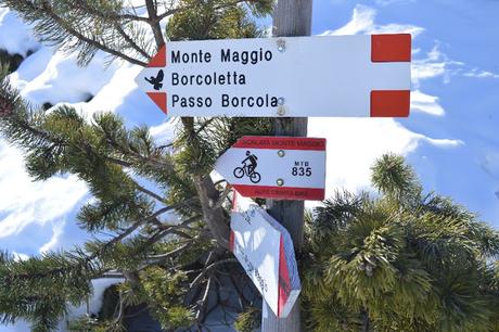 ciaspole monte maggio passo coe alpe cimbra ciaspole monte maggio passo coe alpe cimbra