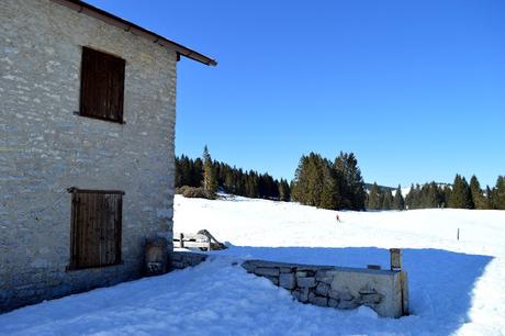 ciaspole monte maggio passo coe alpe cimbra ciaspole monte maggio passo coe alpe cimbra