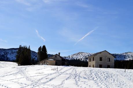ciaspole monte maggio passo coe alpe cimbra ciaspole monte maggio passo coe alpe cimbra