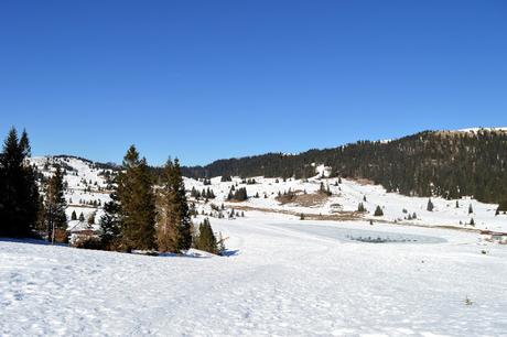 ciaspole monte maggio passo coe alpe cimbra ciaspole monte maggio passo coe alpe cimbra