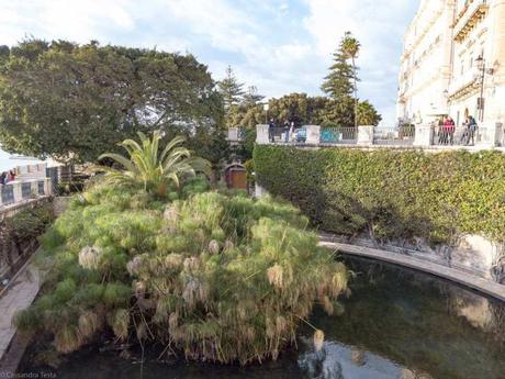 Siracusa in un giorno: che cosa vedere? Siracusa in un giorno: che cosa vedere?