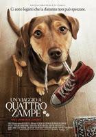 (Gio)WE, Bolla! del 14/3/2019 (Gio)WE, Bolla! del 14/3/2019