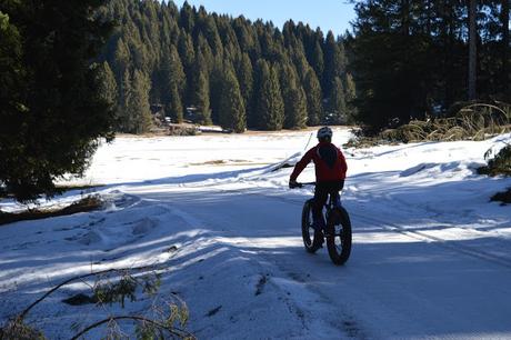 fat bike millegrobbe trentino alpe cimbra fat bike millegrobbe trentino alpe cimbra