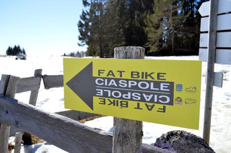 fat bike millegrobbe trentino alpe cimbra fat bike millegrobbe trentino alpe cimbra